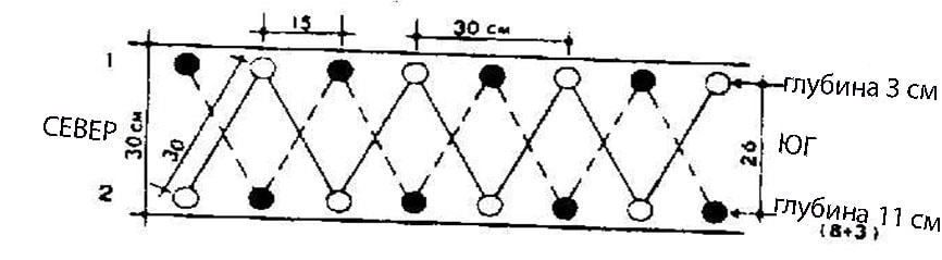 Посадка в два яруса