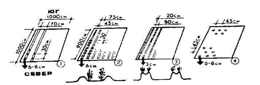 Тонна с сотки