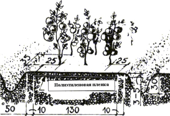 Проблемы с водой